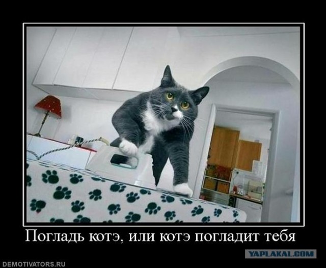 Вот так и живём.