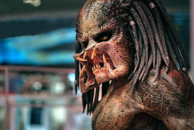 Хищник против Хищника (The Predator vs Predator)