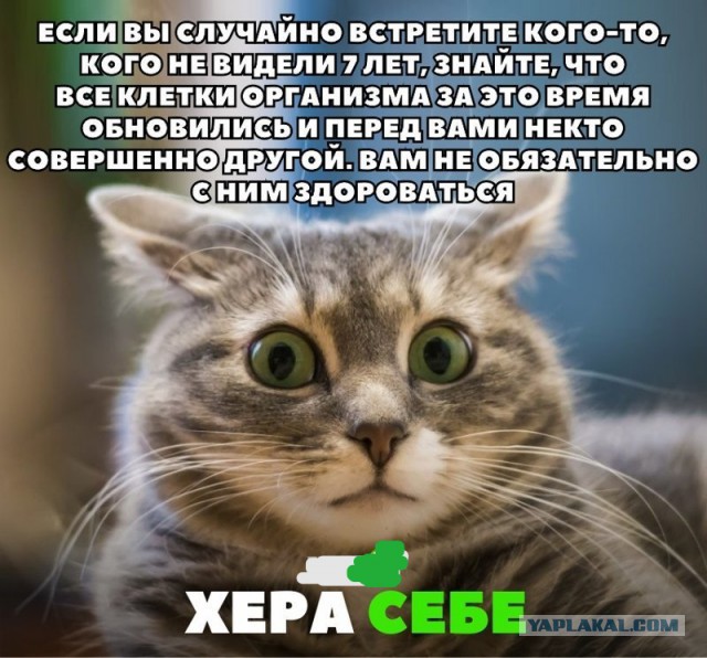 Немного картинок для настроения