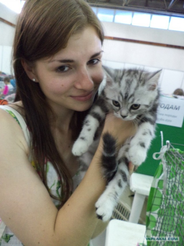 Котовторник  17.07.2012