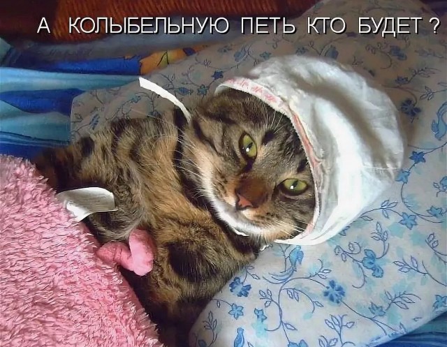 Как заснуть за 2 минуты в любой ситуации