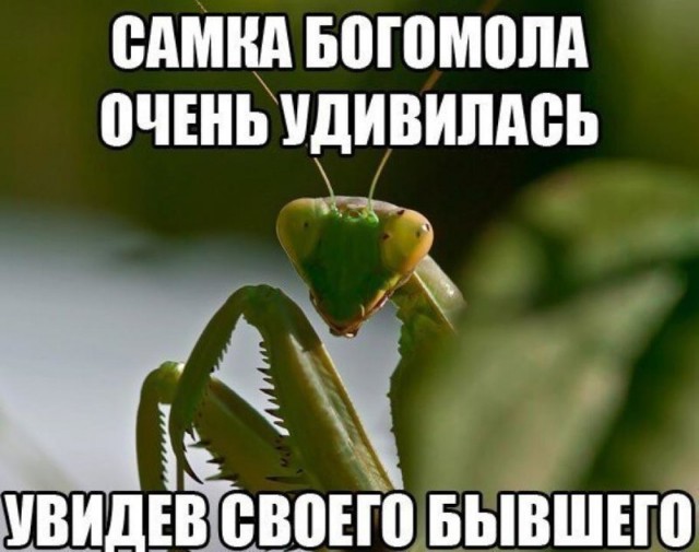 Позвал на свидание "пустожорку" - остался без половины зарплаты. Или почему не нужно платить за девушек в ресторане