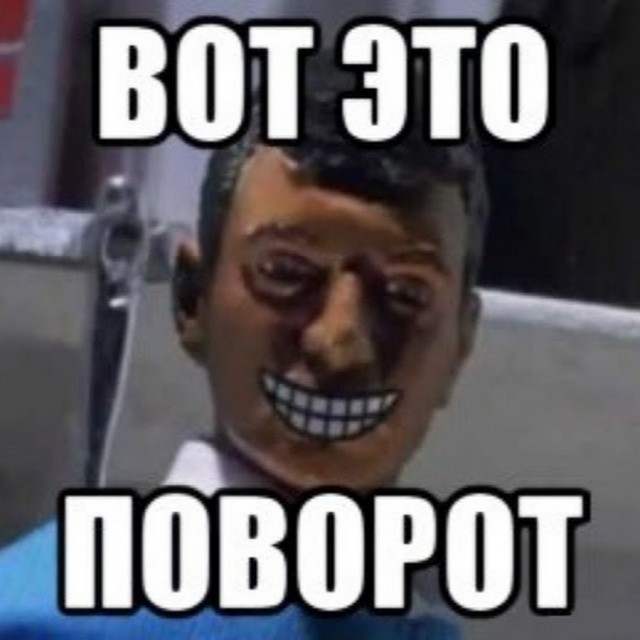 То пускают в самолеты животных, то не пускают...