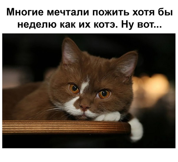 Картинки с надписями и без