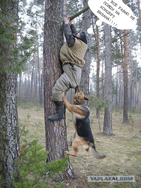 Фотожаба: Охотник и его верный пес