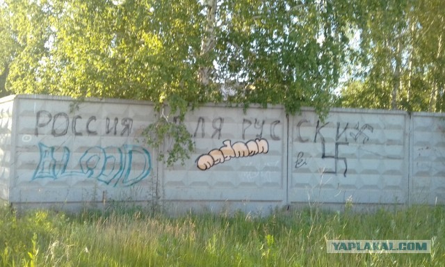 Переезд из Казахстана в Омск. Или 100 причин в дальнейшем покинуть город Глупов