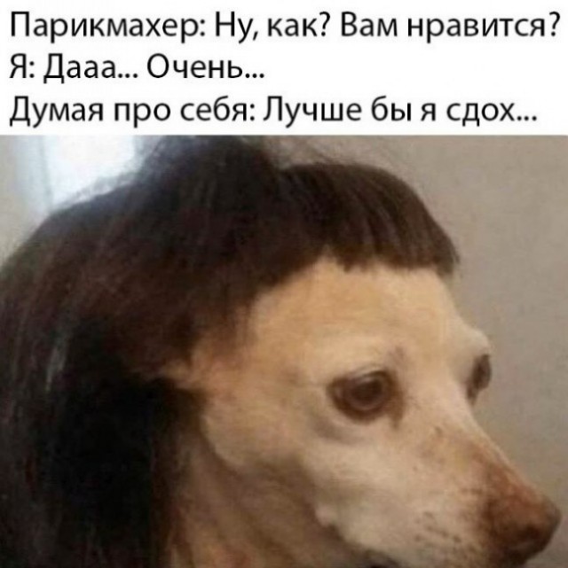 Когда фотографируешься на паспорт