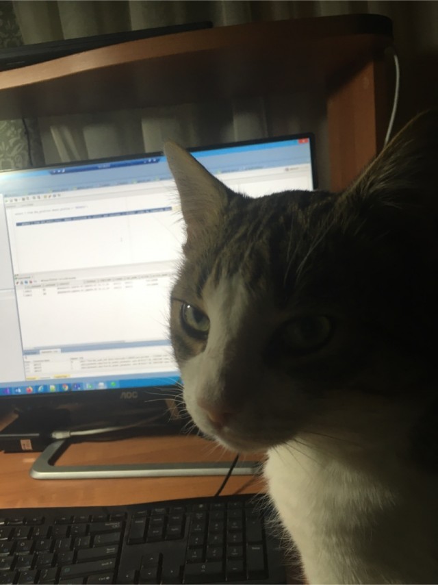 К - Котогеничность