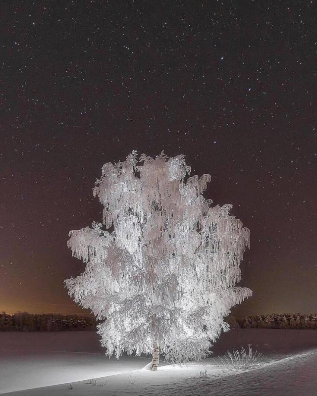 Картинки 02.02.21