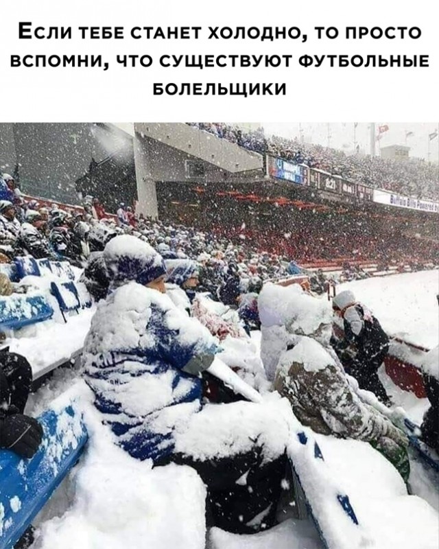 Весёлый полтишок 17.02