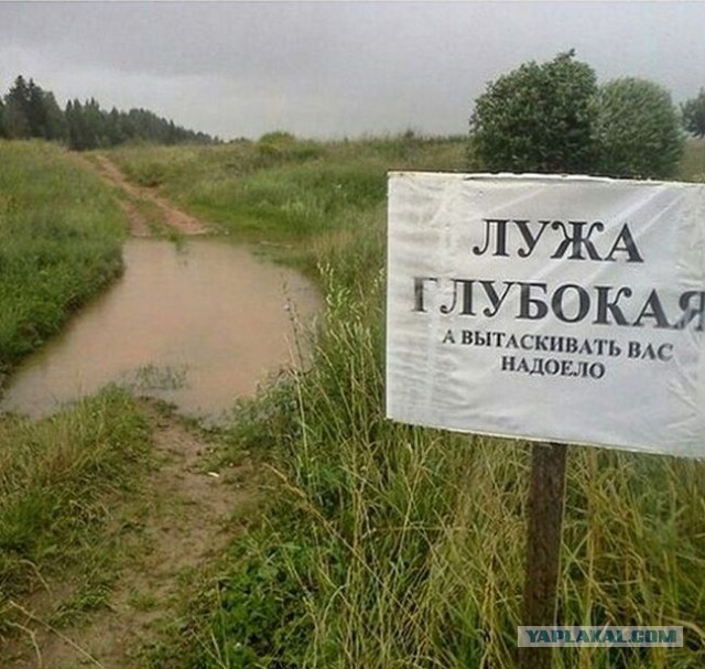 Опять?  Счетная палата предупредила о новом топливном кризисе в России.