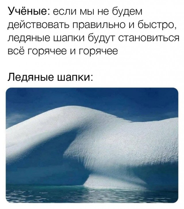 Весёлый полтишок 24.03