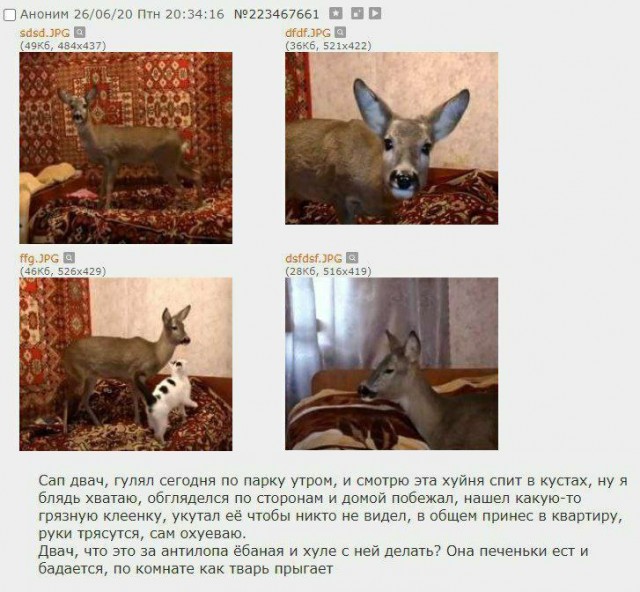 Сосаити (общество как оно есть)
