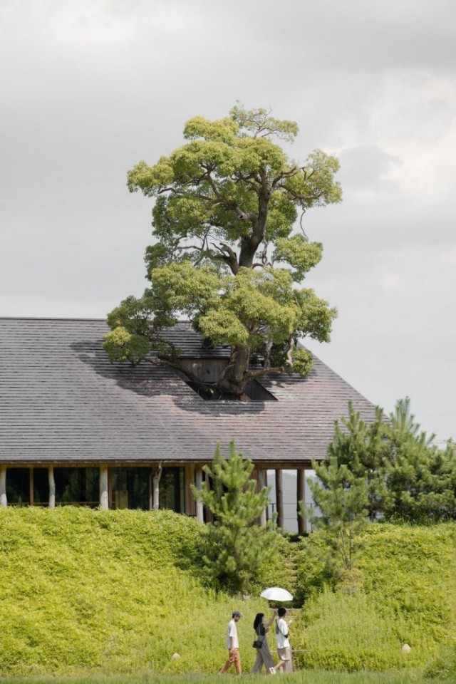 Картинки и мемы для настроения 05.08.2021