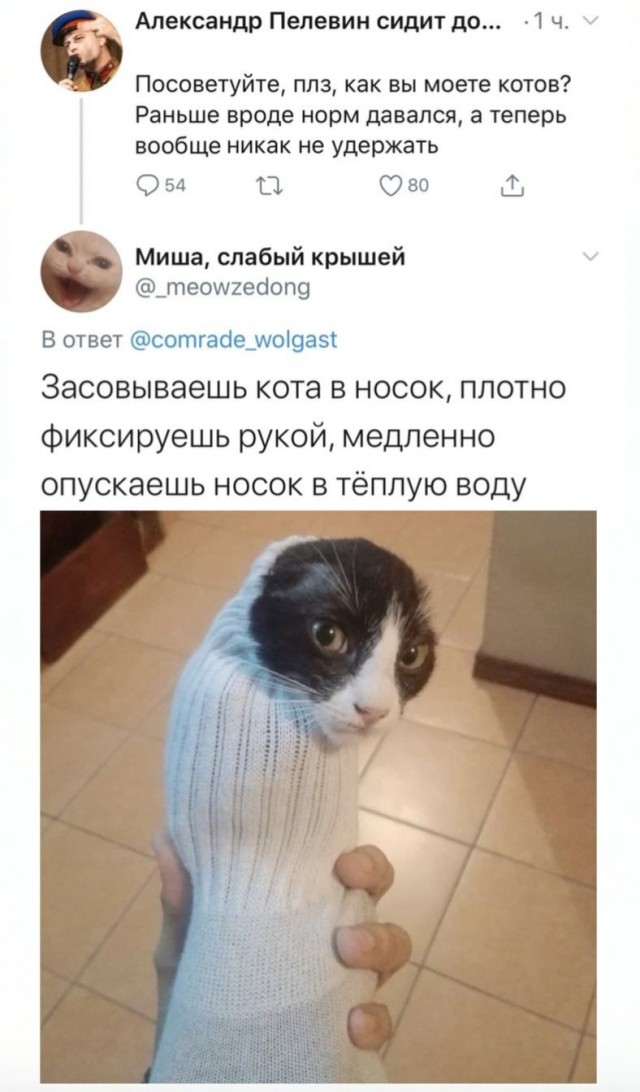 Картинки и мемы для настроения 09.09.2021