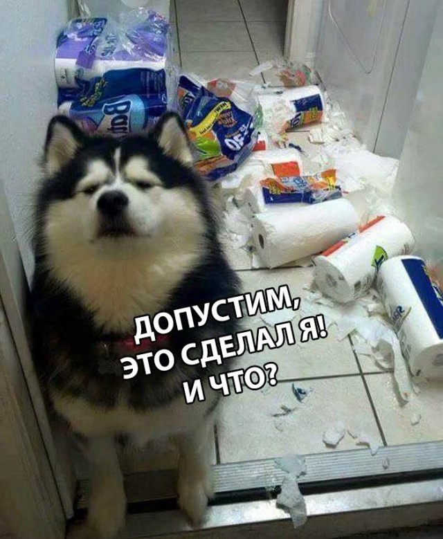 Картинки и мемы, всем прекрасных выходных