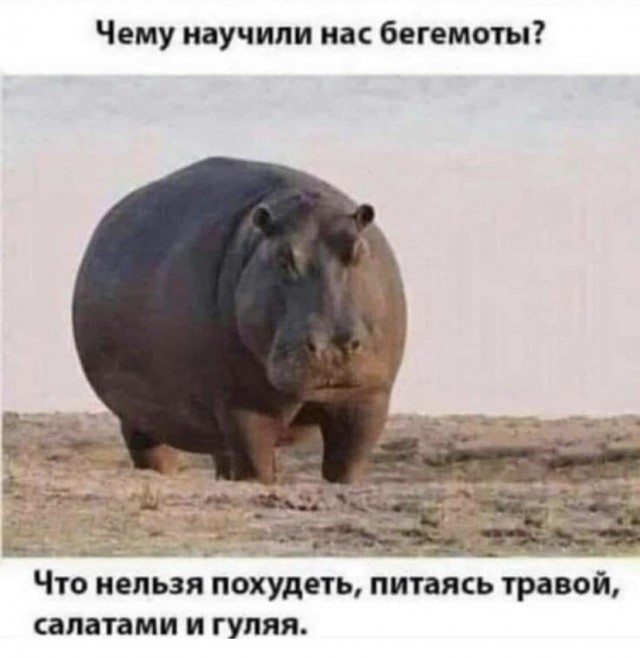 Картинки и мемы для настроения 01.11.2021