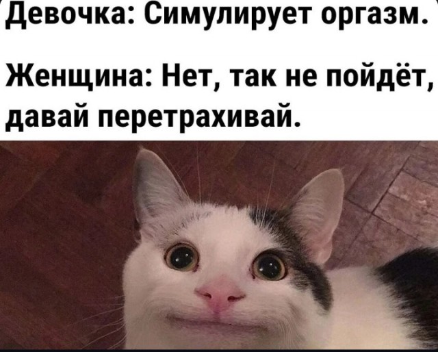 Так себе картинки 22.12.21