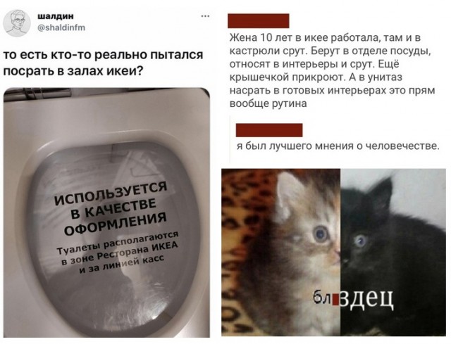 Аморальная деградация