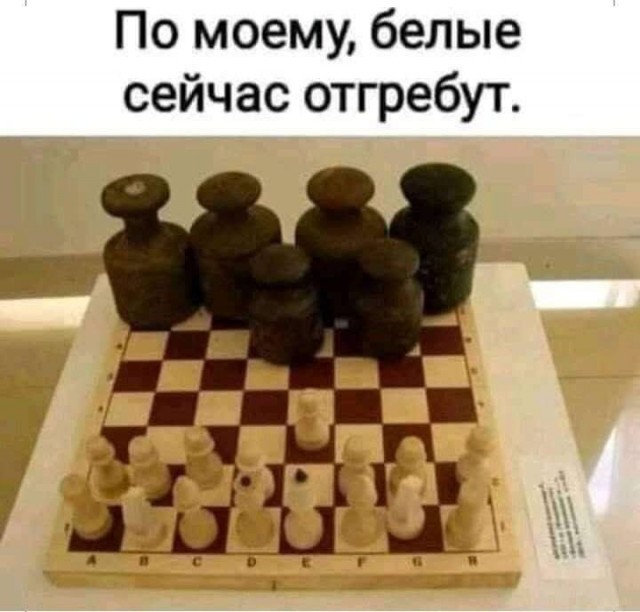 Человек собаке друг и другие картинки и мемы  под настроение
