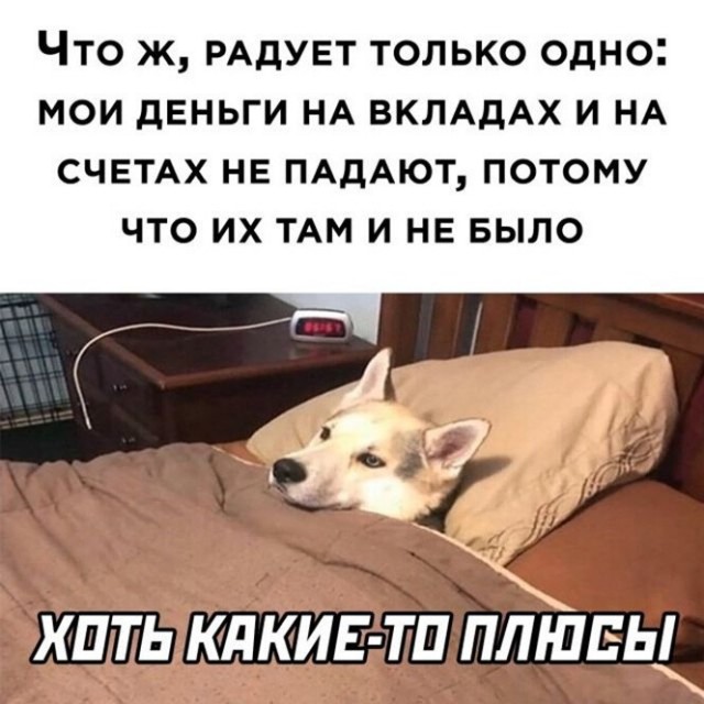 Алкопост 25.02.22