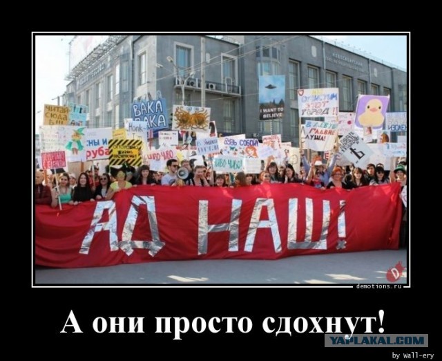 Замечены Тополя на МКАДе