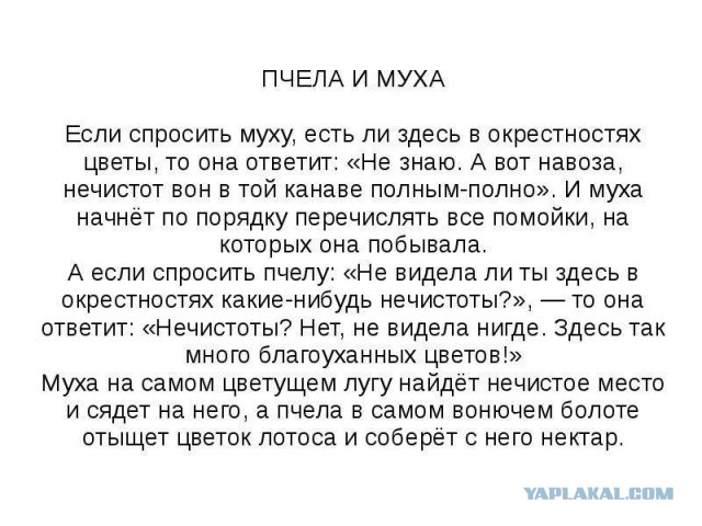 Симоньян назвала Галкина геем, который женился на Пугачевой для отвода глаз