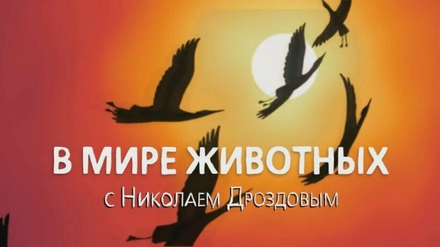 Как пролетели твои года - твои богатства