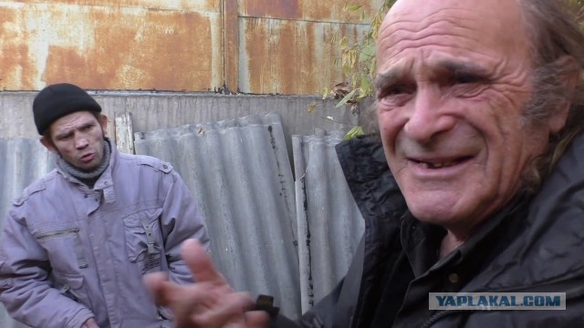 В Нидерландах предложили вместо российских удобрений использовать человеческие экскременты
