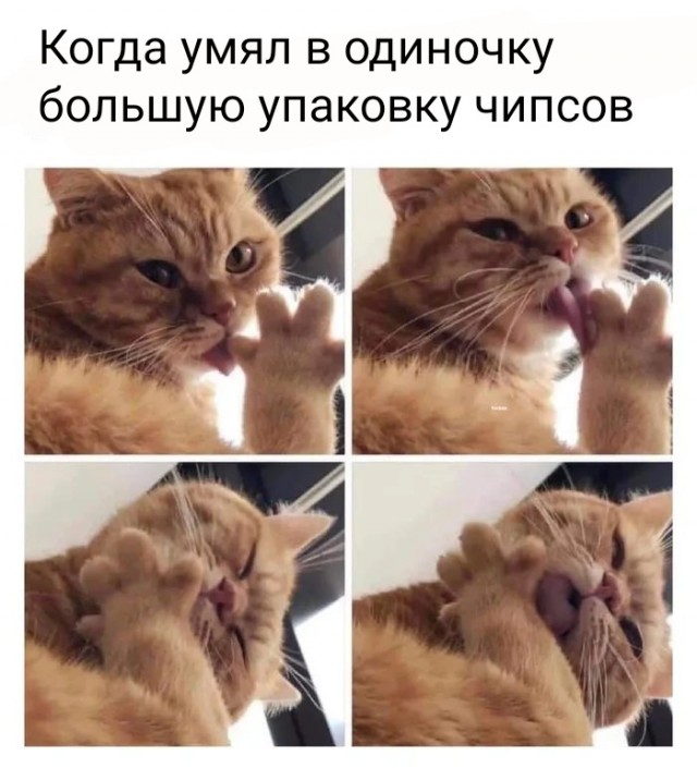 Картинки и мемы для настроения - 25