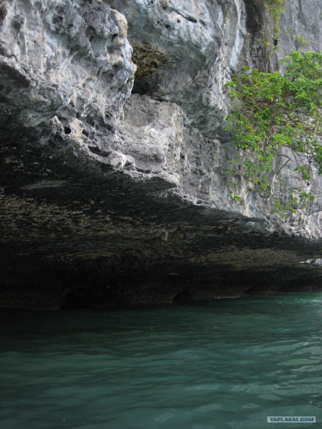 Такой разный остров Самуи
