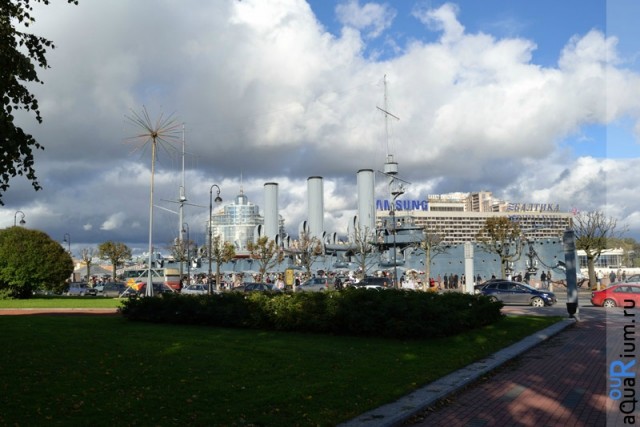 СПб глазами уставшего туриста...