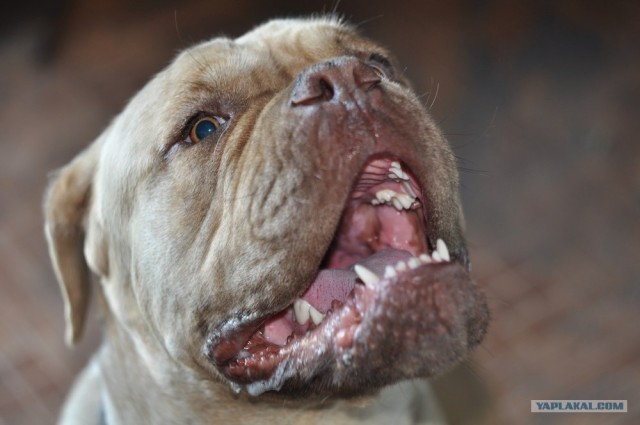 Люди, которые вас окружают.