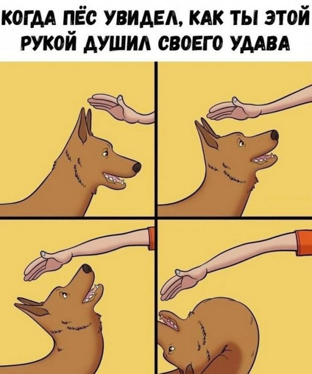 Поржать немного с утра!