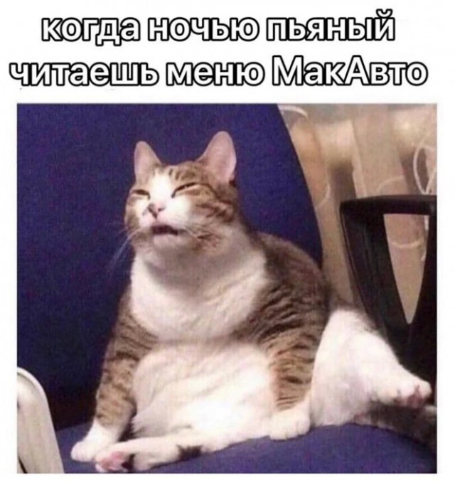 Алкопост 12.11.22