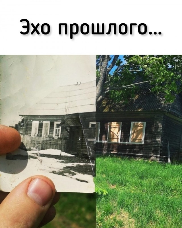 Замыкая круг, ты назад посмотришь вдруг...