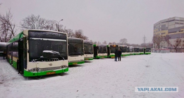 Москва передала в регионы 689 автобусов в 2022 году. Бесплатно