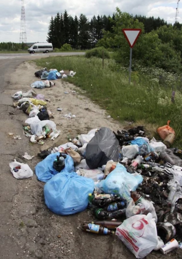 С 11 января в РФ будет разрешено использовать автоматические камеры для наказания нарушителей, выбрасывающих мусор из автомобиля