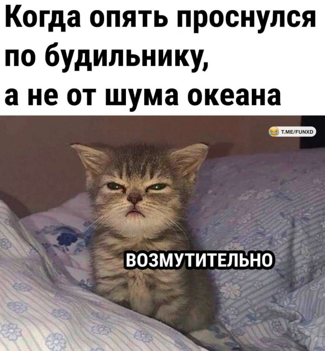 Картинки на пятницу