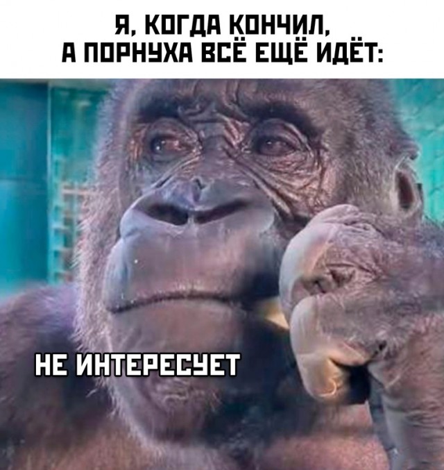 Немного картинок для настроения 07.03.2023