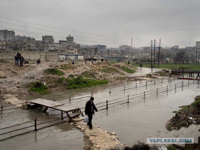 Есть ли жизнь в Алеппо?