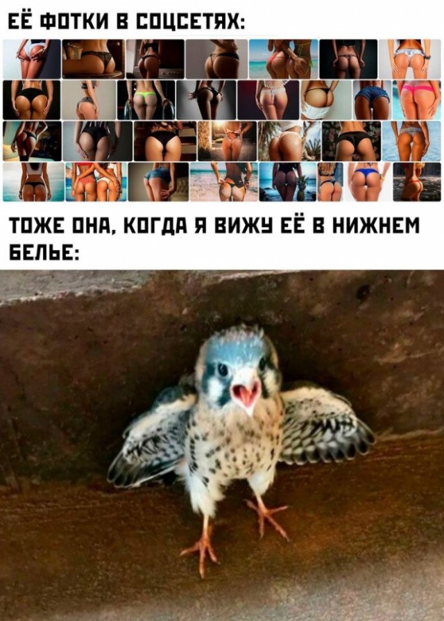 Картинки и мемы, всяко разно - 175