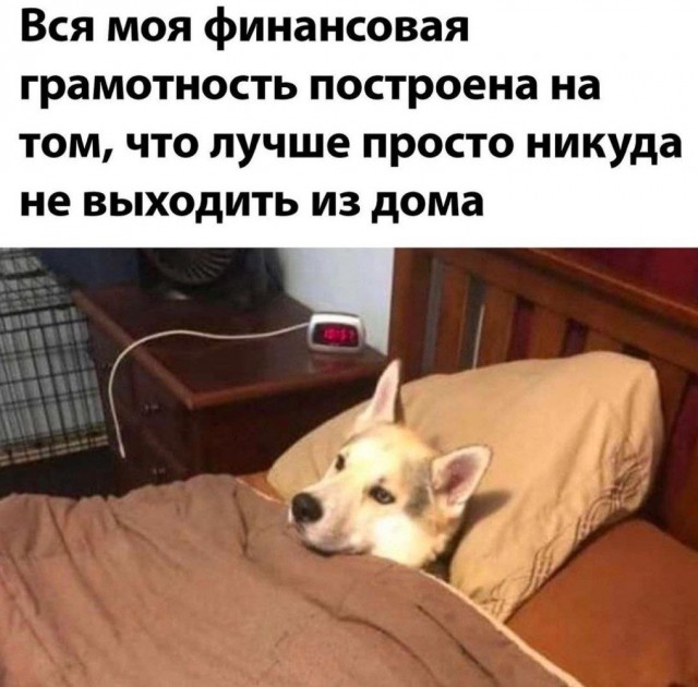 Картинки весёлые, вроде