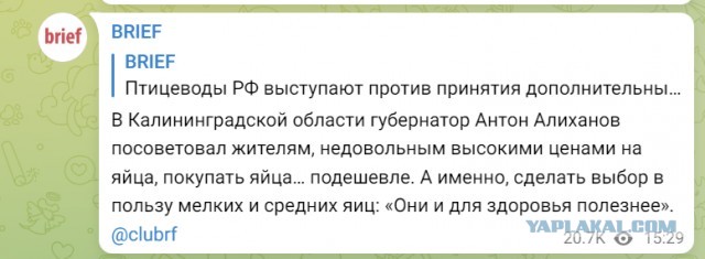 Тем кто недоволен высокими ценами на яйца следует покупать яйца подешевле