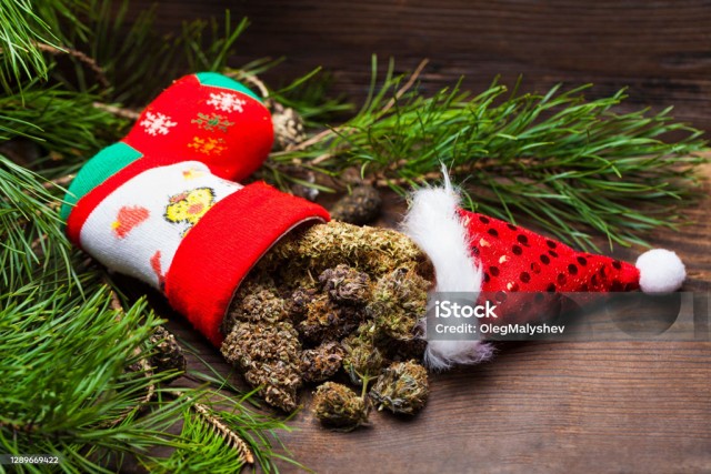 Прикольные и просто красивые картинки 29.12.2023