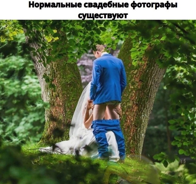 Никакие картинки