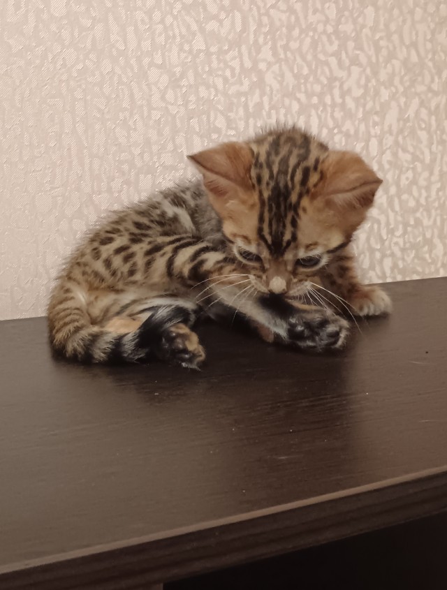 Хоть и не вторник. Но я стал рабом в двойне.