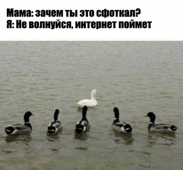Всего понемногу. От 01.11.2024