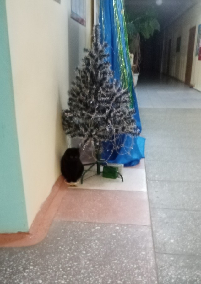 И всех кто на работе!