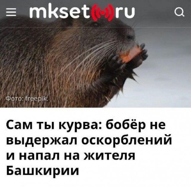 Иллюстрации